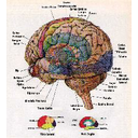 Muestra Imagen 